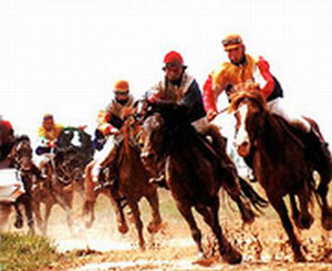 horse island of Yantai