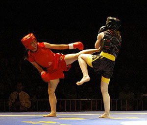 Sanda Chinese Kickboxing