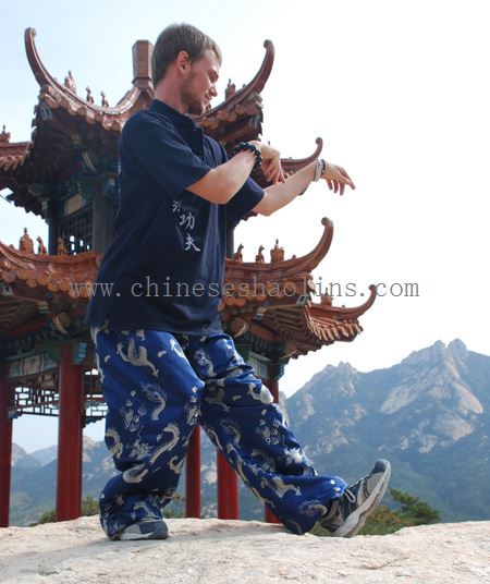 Wushu Kung Fu Runner::Appstore for Android