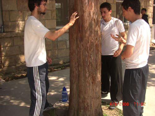 Students from Norway and England are conditioning hands on the tree 