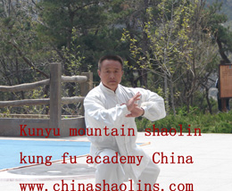 kung fu performance show held by kunyu mountain china