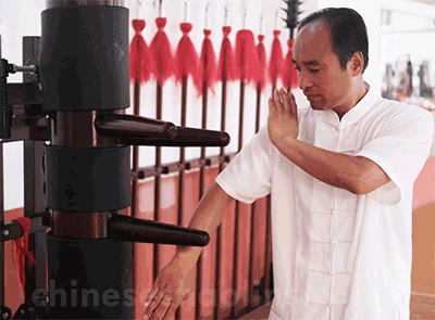 Wing chun master of Kunyu mountain shaolin martial arts academy