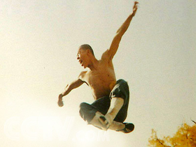 Shaolin Eagle fist