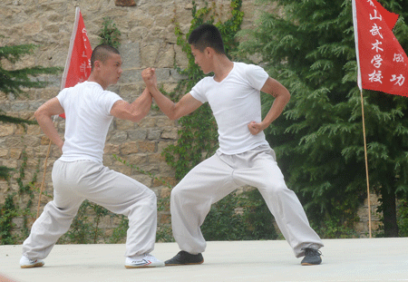 master performed shaolin Sparring