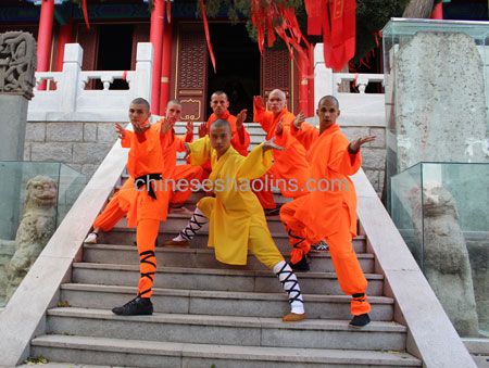 kung fu training photo