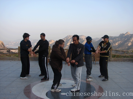 wingchun applications
