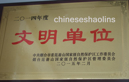 excellent kung fu school