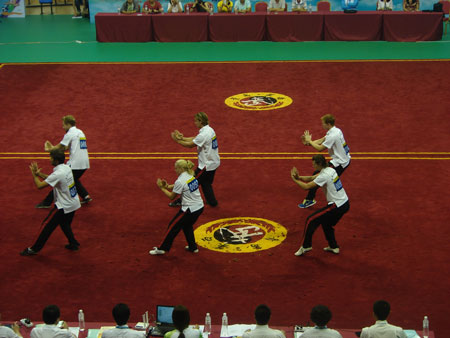  Fujing Agriculture Cup” of the international Martial arts Championship 