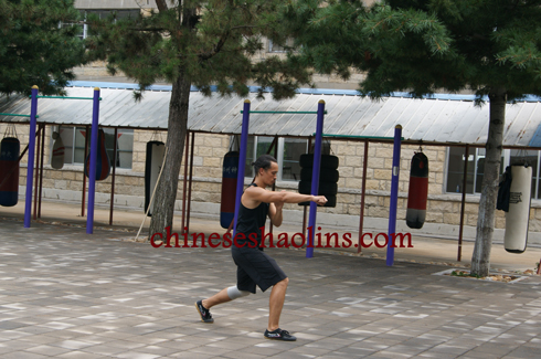 Nick spent two month to learn Shaolin kung fu and animal kungfu styles 