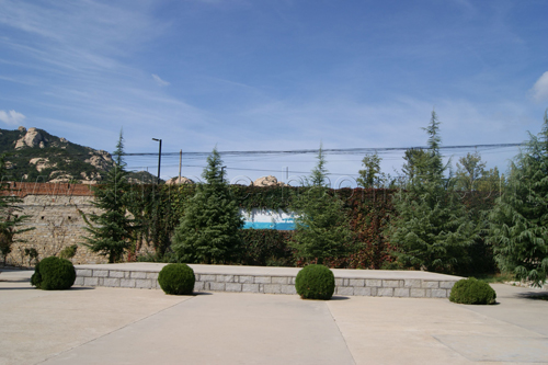 Traditional Ring of Kunyu mountain kung fu school