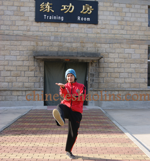 Wing chun Review from Kunyu mountain