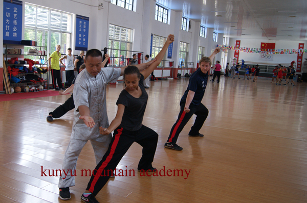 wingchun applications