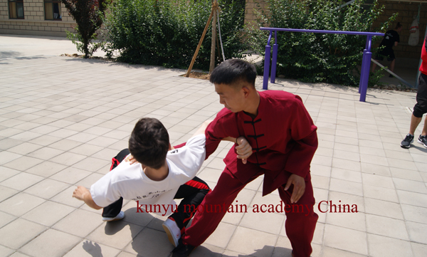 Chinese Tai chi quan